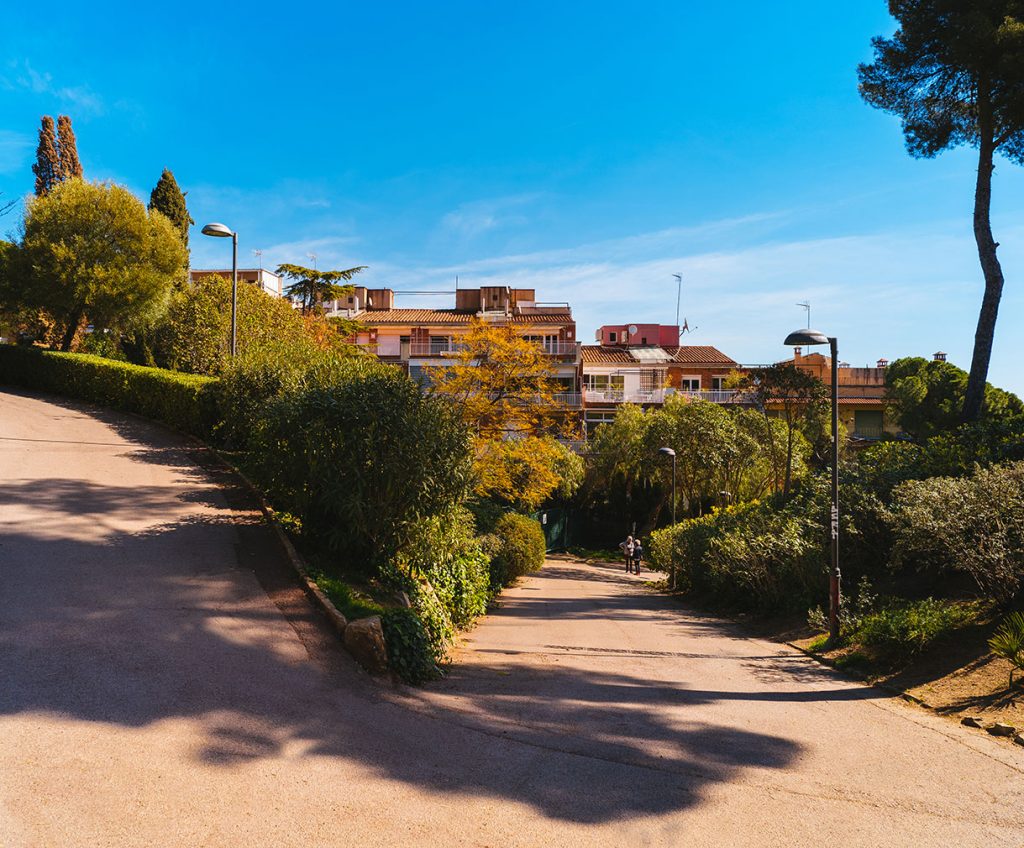 turo-del-putxet