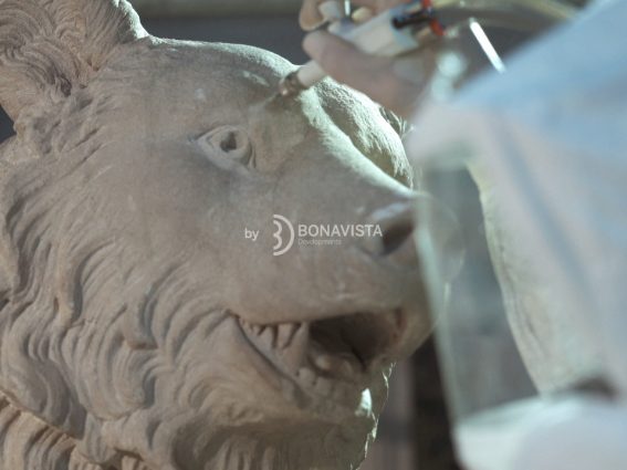 restauracion oso